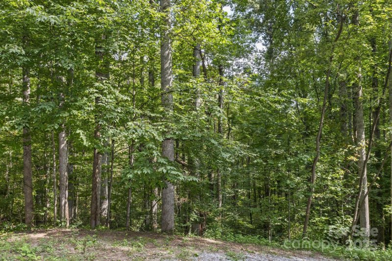 Property image 5 of 9999 Flowing Brook Lane in Summer Walk, Waynesville, NC 28786