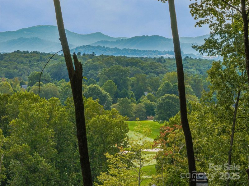 Property image 2 of 565 Walnut Valley Parkway in The Cliffs at Walnut Cove, Arden, NC 28704