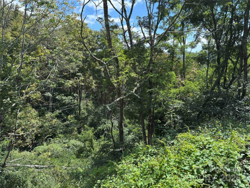 Property image 2 of Tbd Linhigh Drive in Linville Heights, Newland, NC 28657