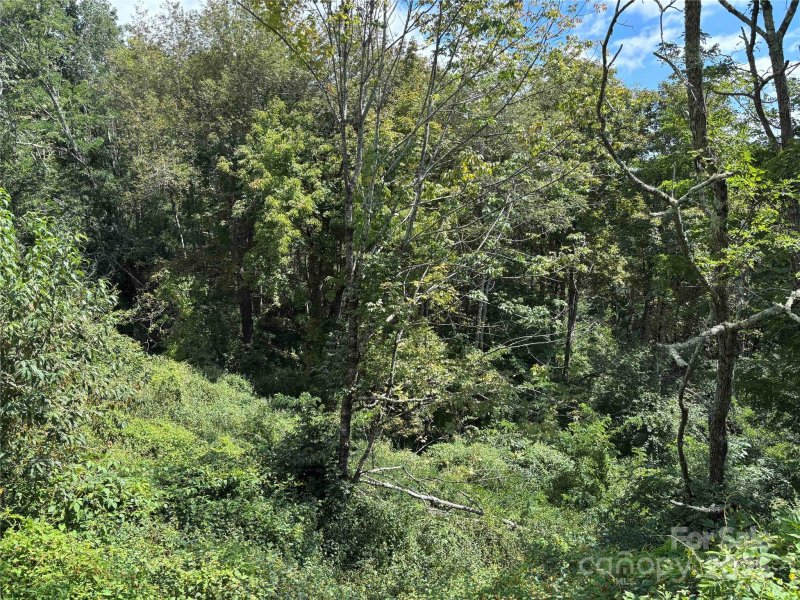 Property image 3 of Tbd Linhigh Drive in Linville Heights, Newland, NC 28657