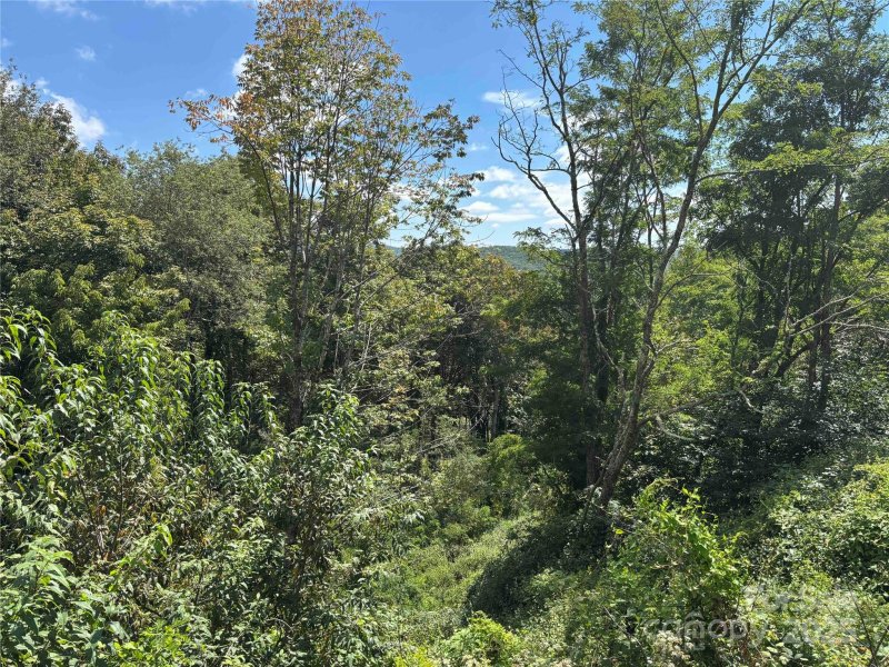 Property image 4 of Tbd Linhigh Drive in Linville Heights, Newland, NC 28657