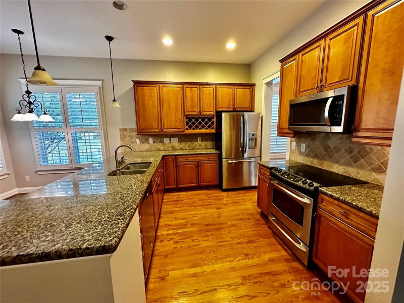 Property image 4 at 16824 Summers Walk Boulevard, Davidson, NC 28036