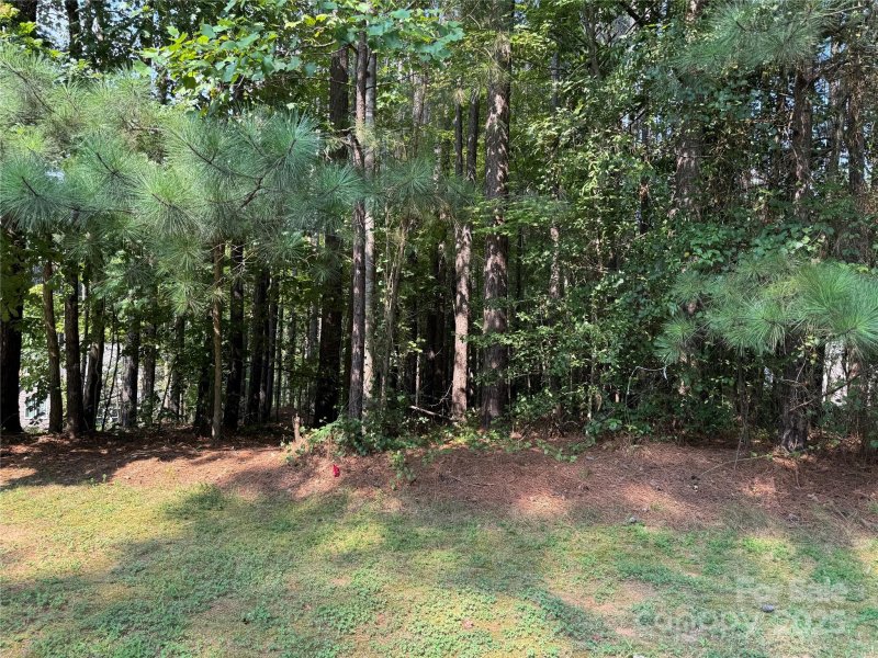 Property image 5 of 2347 Capes Cove Drive in Northview Harbour, Sherrills Ford, NC 28673