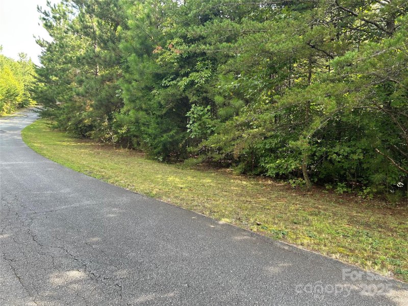 Property image 3 of 0 Hope Drive in Pleasant View, Rutherfordton, NC 28139