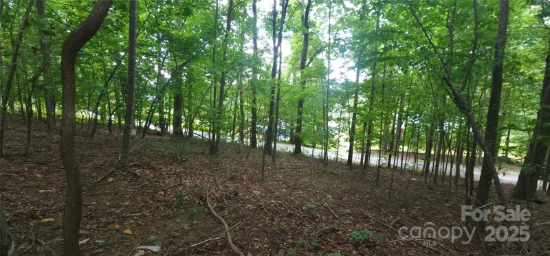 Property image 4 of Lot 80 Serpentine Drive in White Oak Mountain, Columbus, NC 28722