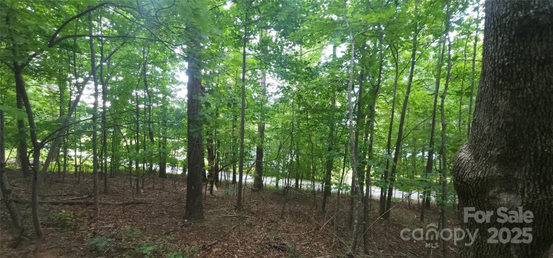 Property image 5 of Lot 80 Serpentine Drive in White Oak Mountain, Columbus, NC 28722
