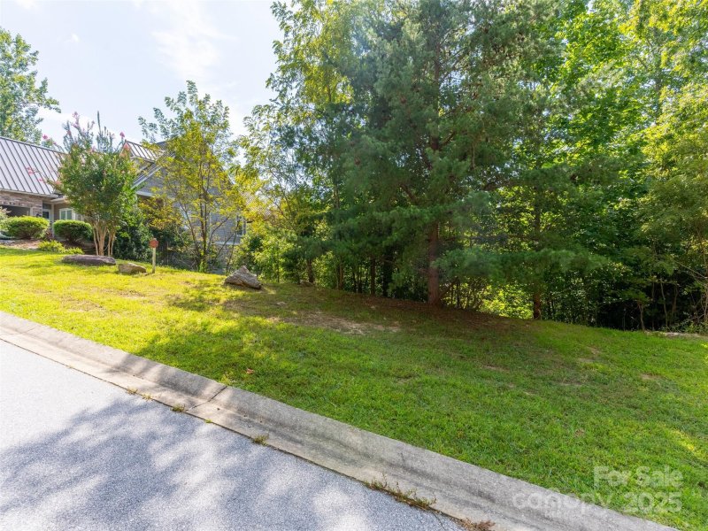 Property image 5 of 54 Narrows Run Loop in Carriage Park, Hendersonville, NC 28791