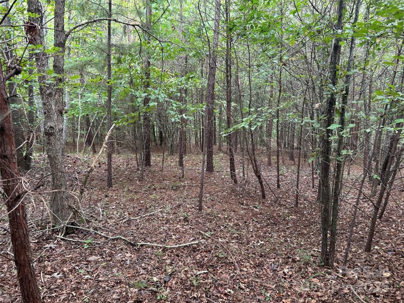 Property image 4 of 00 North Dakota Drive in Clearwater Creek, Rutherfordton, NC 28139