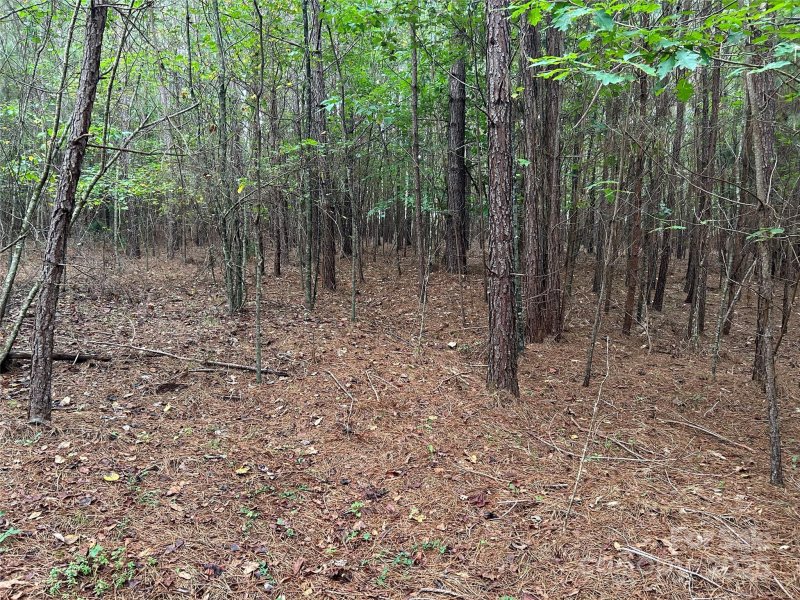 Property image 5 of 00 North Dakota Drive in Clearwater Creek, Rutherfordton, NC 28139