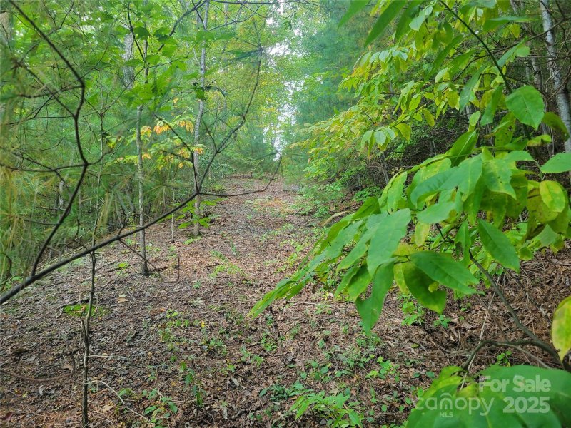 Property image 2 of 0 Pinewood Drive in Pine Wood Heights, Waynesville, NC 28786