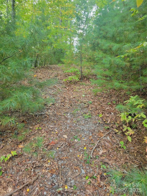 Property image 3 of 0 Pinewood Drive in Pine Wood Heights, Waynesville, NC 28786