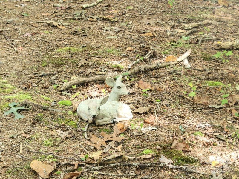 Property image 5 of 0 Pinewood Drive in Pine Wood Heights, Waynesville, NC 28786