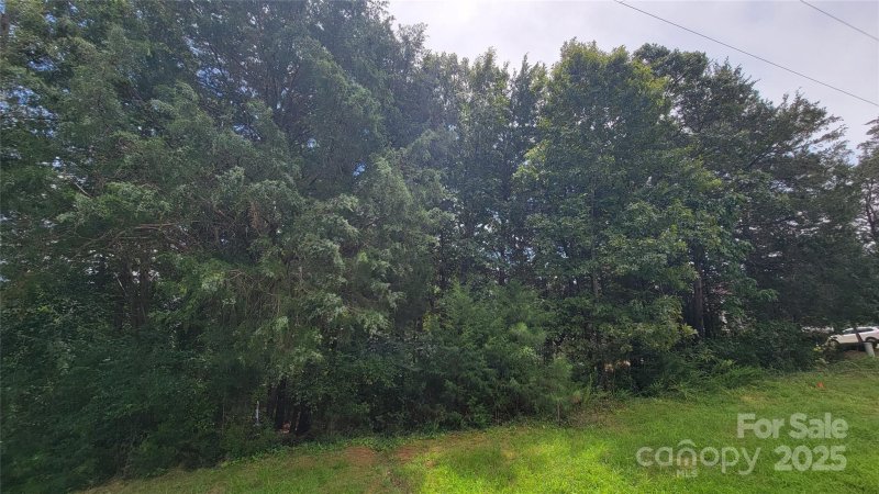 Property image 5 of 6881 Pine Moss Lane in Heron Cove, Clover, SC 29710