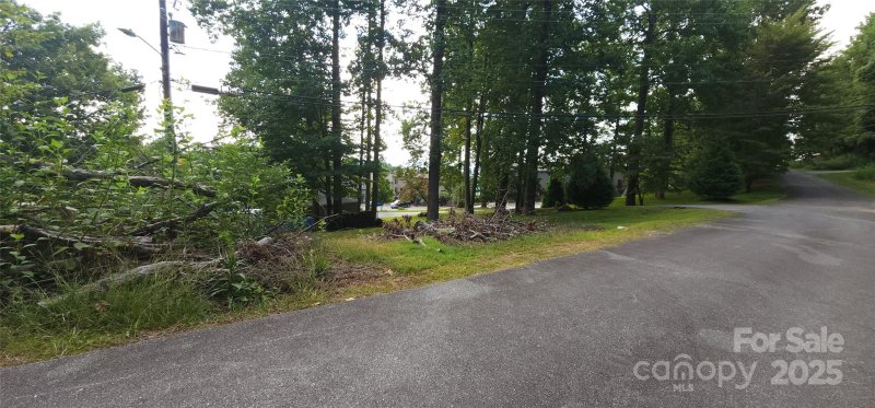 Property image 5 at Lot 52 Blockaders Den None, Columbus, NC 28722