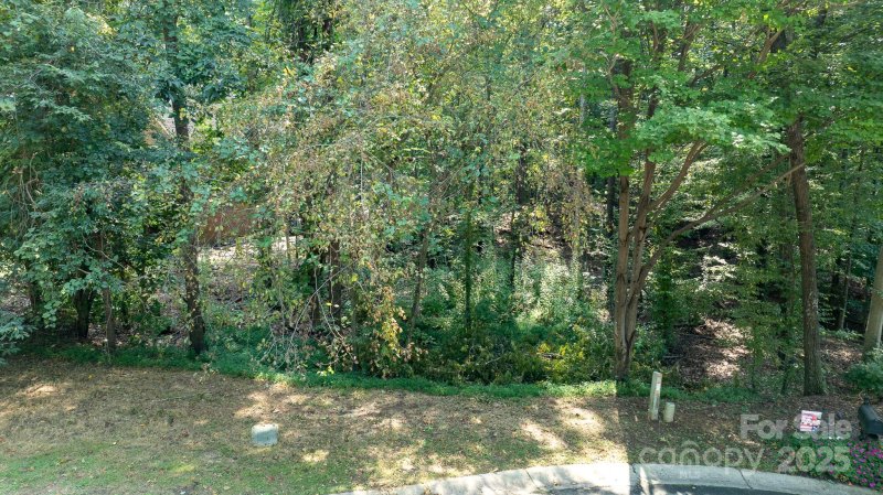 Property image 2 of 00 Hawkes Bay Court in Sailview, Denver, NC 28037