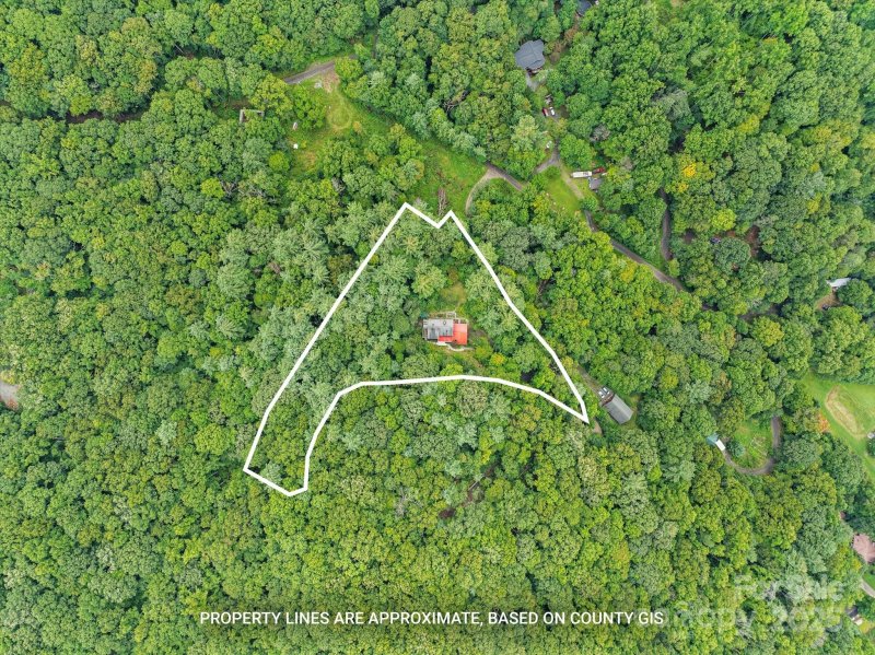 Property image 5 of 14 Shelton Branch Road in Wildcat Knob, Barnardsville, NC 28709