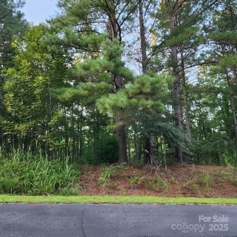 Property image 3 of 115 Scenic Ridge Drive in Broad River Highlands, Mooresboro, NC 28114