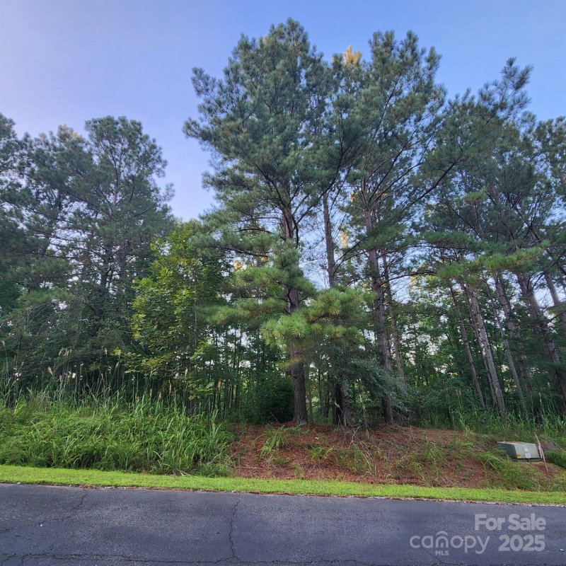 Property image 5 of 115 Scenic Ridge Drive in Broad River Highlands, Mooresboro, NC 28114