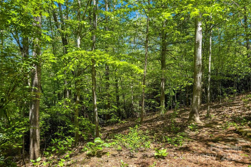 Property image 2 of Tbd Hunting Lodge Drive in Hunting Lodge Acres, Black Mountain, NC 28711