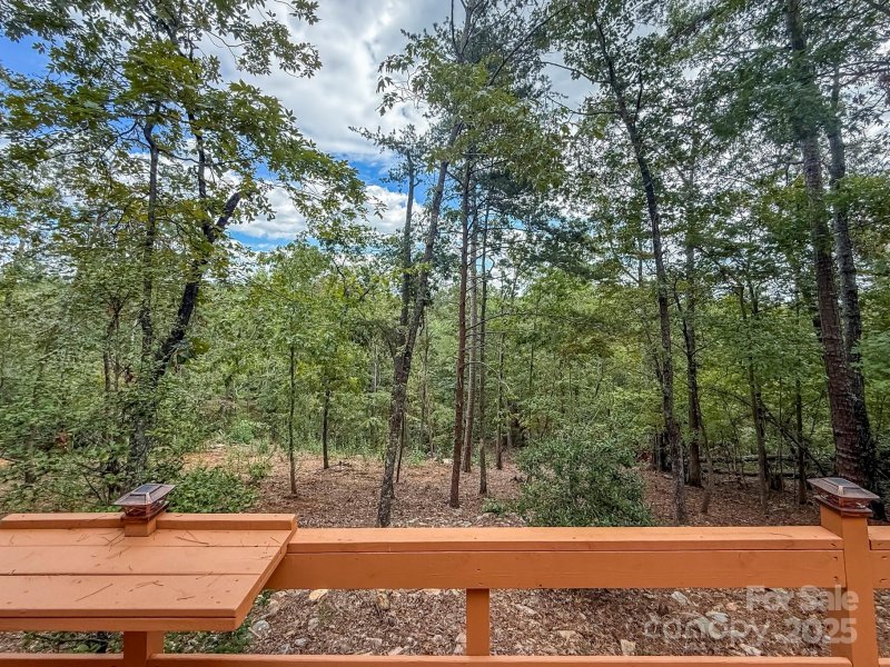 Property image 4 of 253 Nors Way in Indian Head Acres, Lake Lure, NC 28746