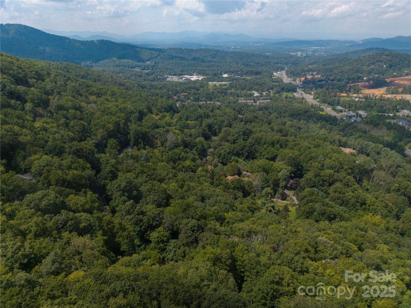 Property image 5 of Lot 60 Chesten Mountain Drive in Chestnut Mountain, Asheville, NC 28803