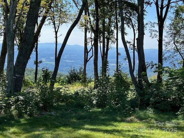 Property image 2 of 462 E Garden Trail in Sprout, Hendersonville, NC 28792