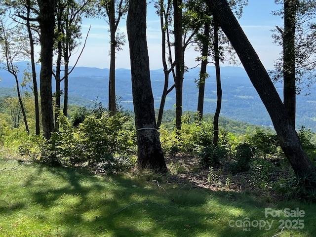 Property image 3 of 462 E Garden Trail in Sprout, Hendersonville, NC 28792