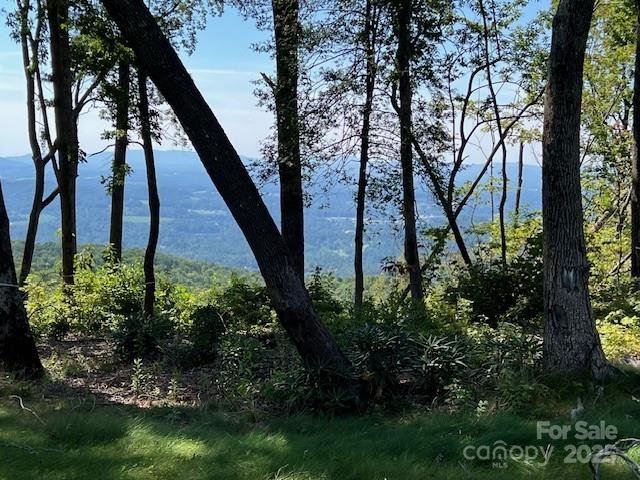 Property image 4 of 462 E Garden Trail in Sprout, Hendersonville, NC 28792