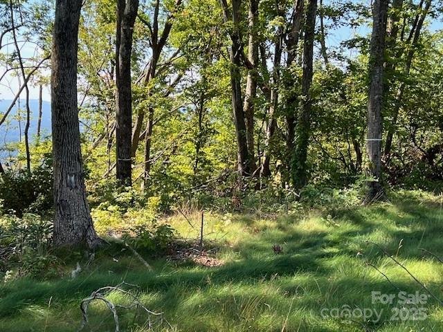 Property image 5 of 462 E Garden Trail in Sprout, Hendersonville, NC 28792