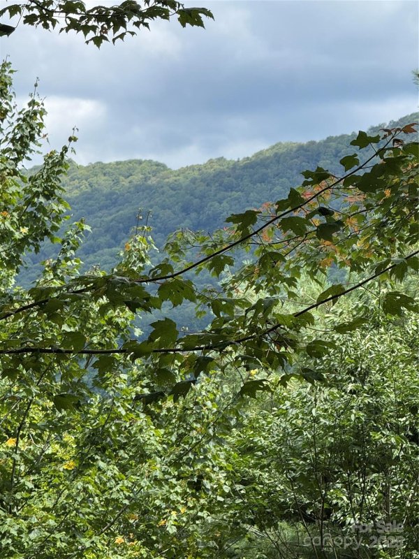 Property image 3 of 175 Ridgeview Road in Chestnut Ridge, Sugar Mountain, NC 28604