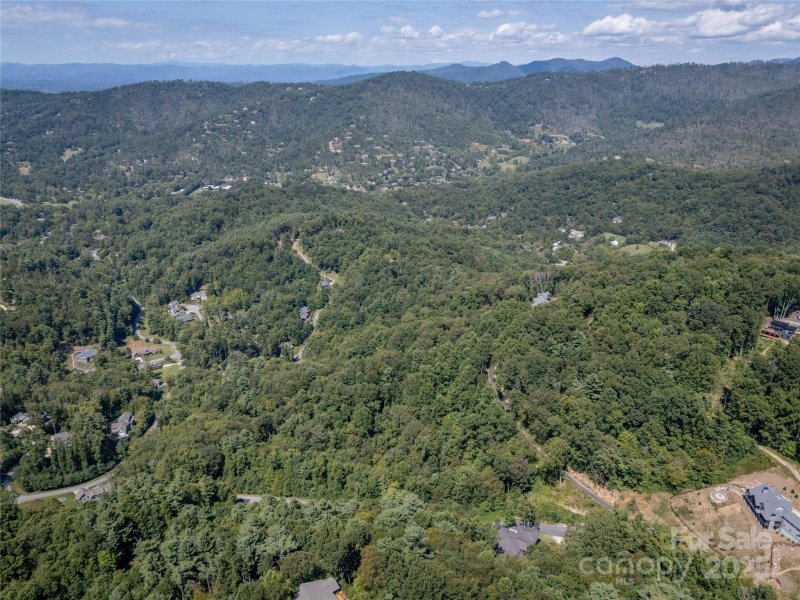 Property image 5 of 108 Bartrams Walk Drive in Town Mountain Preserve, Asheville, NC 28804