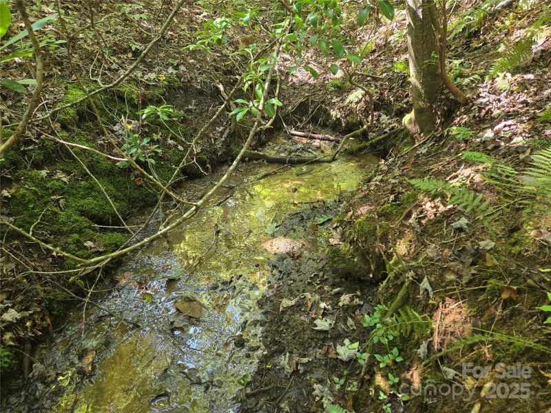 Property image 4 of 88 Ladd Ridge in Indian Camp Mountain, Rosman, NC 28772