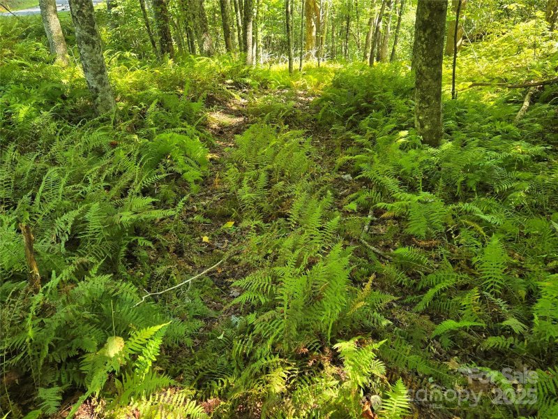 Property image 5 of 88 Ladd Ridge in Indian Camp Mountain, Rosman, NC 28772