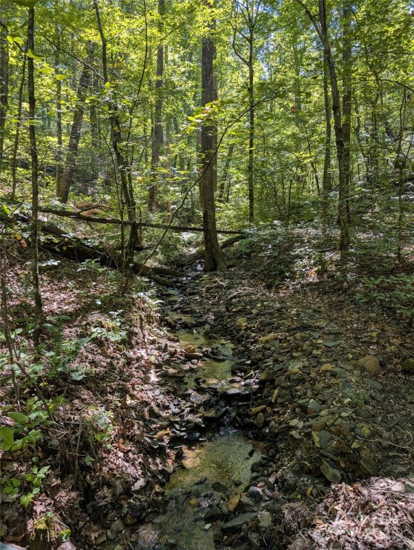 Property image 2 of 1 Rixhaven Drive in RIXHAVEN, Saluda, NC 28773