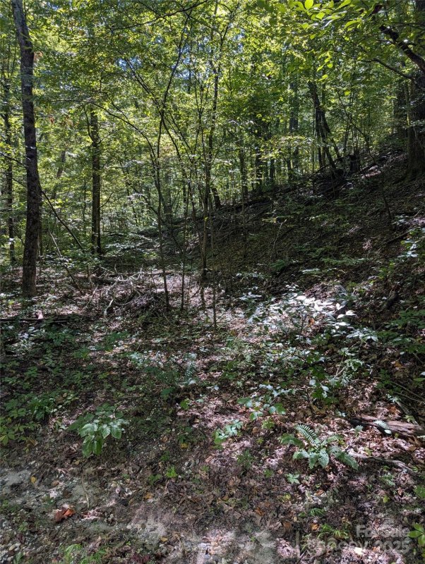 Property image 3 of 1 Rixhaven Drive in RIXHAVEN, Saluda, NC 28773