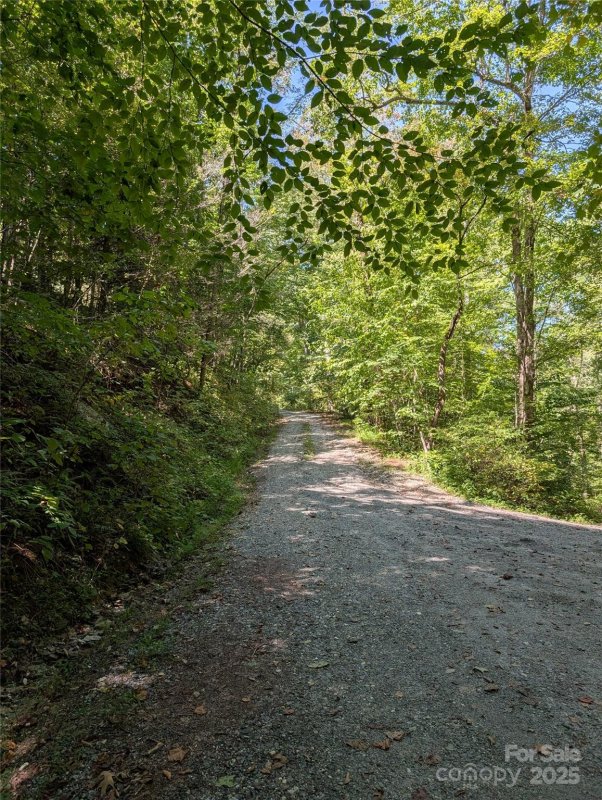 Property image 4 of 1 Rixhaven Drive in RIXHAVEN, Saluda, NC 28773