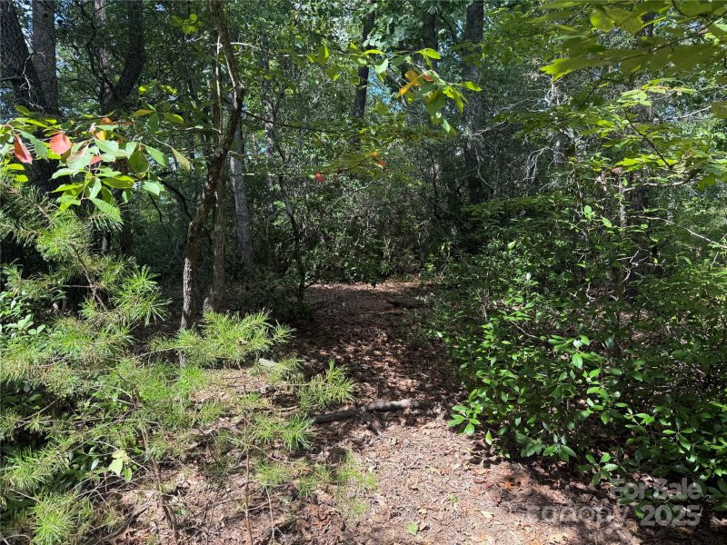 Property image 4 at Tbd Overland Trail, Marion, NC 28752