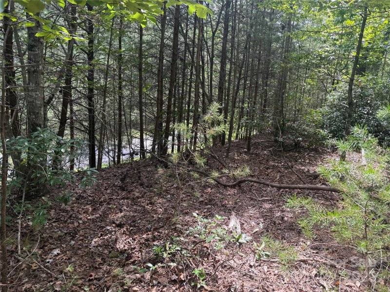 Property image 5 at Tbd Overland Trail, Marion, NC 28752