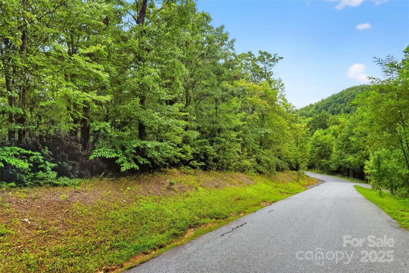 Property image 2 of 1696 Catawba Falls Parkway in Catawba Falls Preserve, Black Mountain, NC 28711