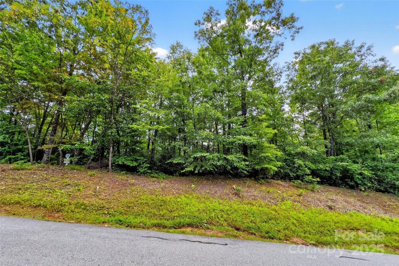 Property image 3 of 1696 Catawba Falls Parkway in Catawba Falls Preserve, Black Mountain, NC 28711