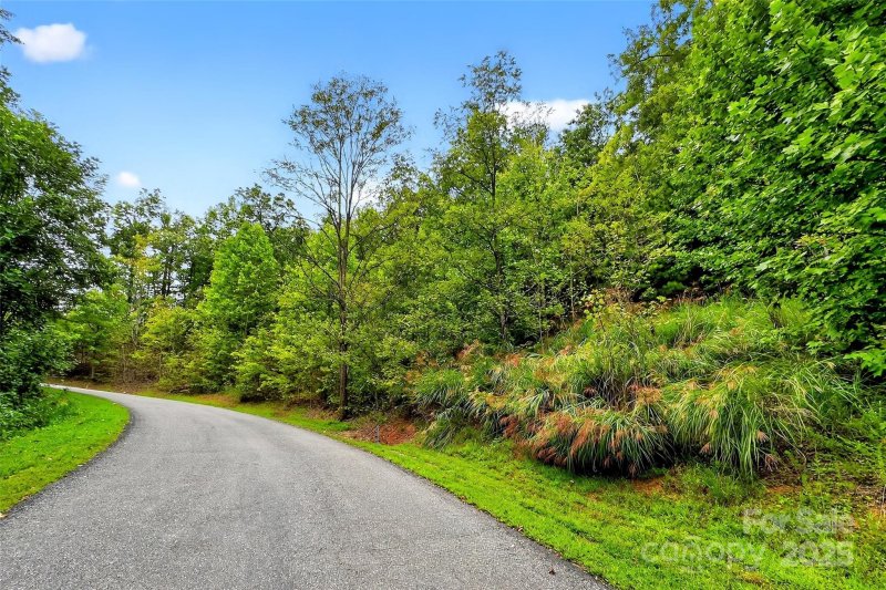 Property image 5 of 1696 Catawba Falls Parkway in Catawba Falls Preserve, Black Mountain, NC 28711