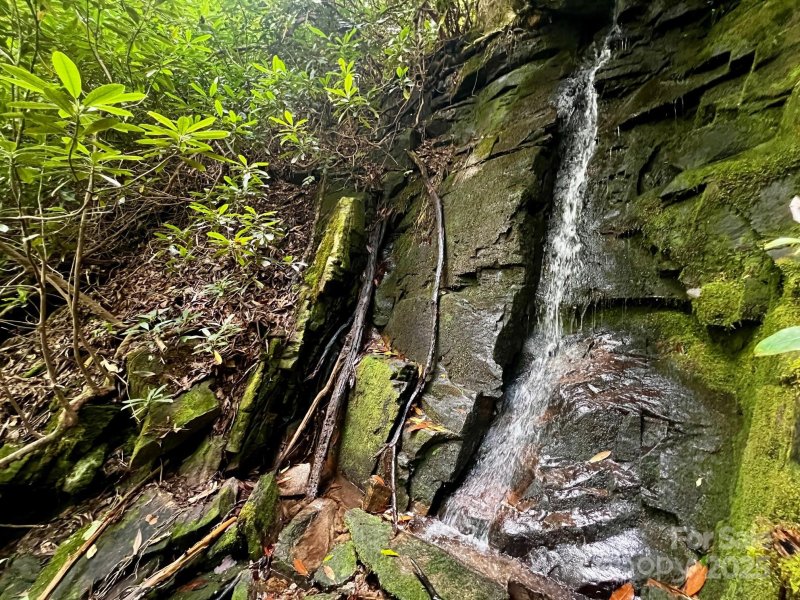 Round Mountain Falls, Brevard Community