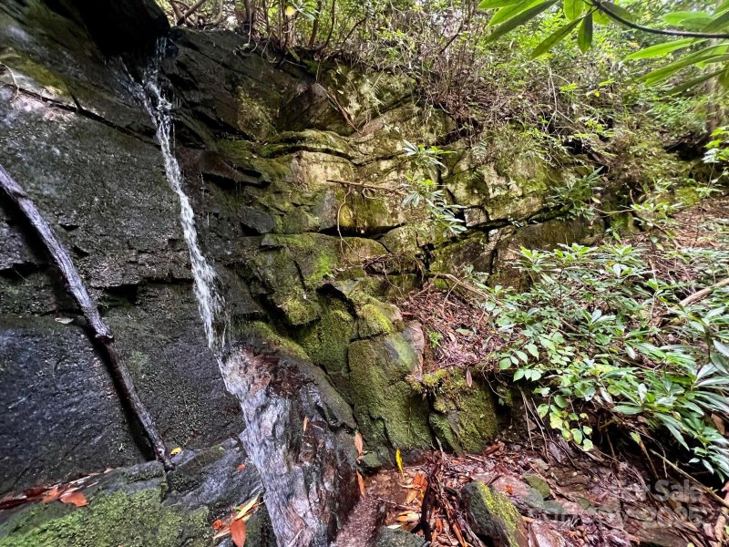 Property image 3 of Lot 11 Silver Maple Trail in Round Mountain Falls, Brevard, NC 28712