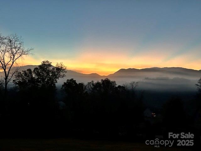 Property image 3 of 145 Olivia Trace Drive in Cane Creek Views, Fletcher, NC 28732