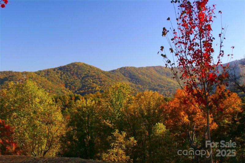 Property image 3 of 33 Grovepoint Way in Grove Park Cove, Asheville, NC 28804
