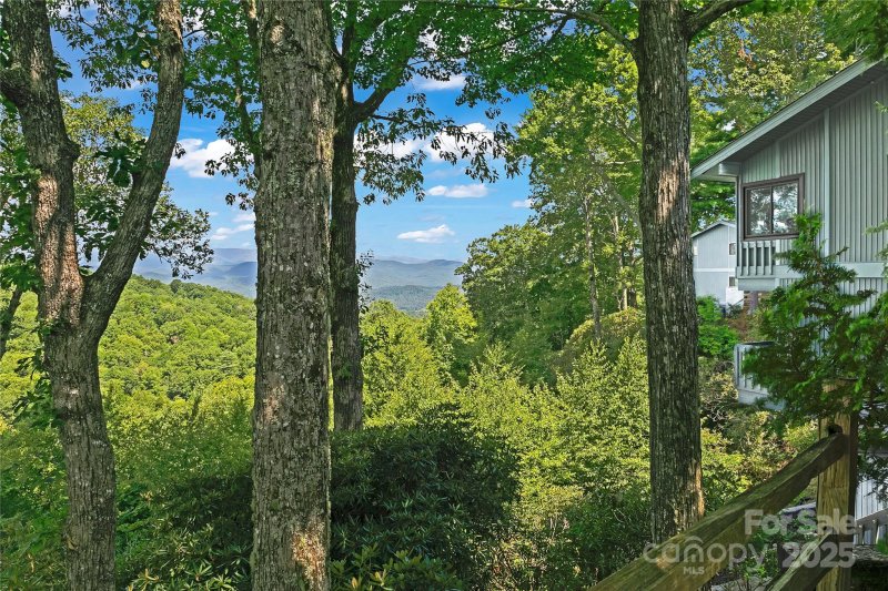 Property image 4 at 296 Tinequa Drive, Brevard, NC 28712