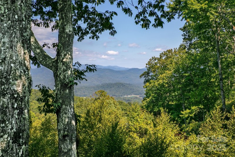 Property image 5 at 296 Tinequa Drive, Brevard, NC 28712