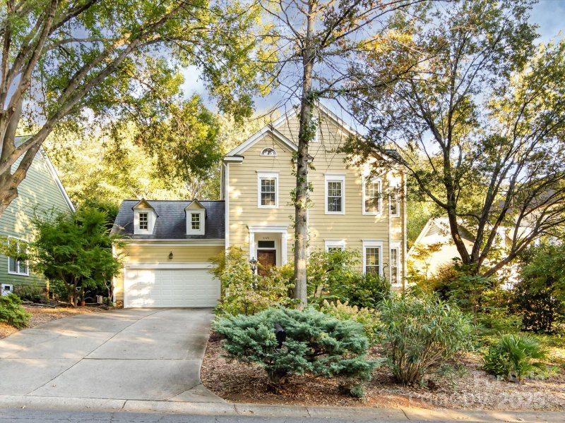 Selwyn Farms, Charlotte Community