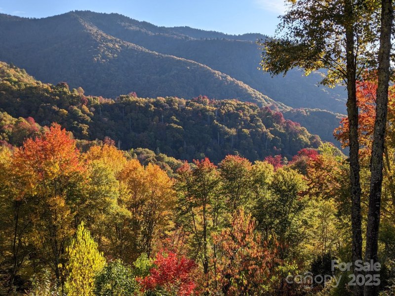 Property image 2 at 137 Green Mountain Road, Maggie Valley, NC 28751