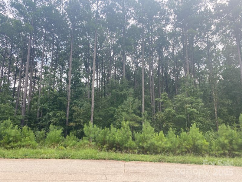 6359 Chimney Bluff Road